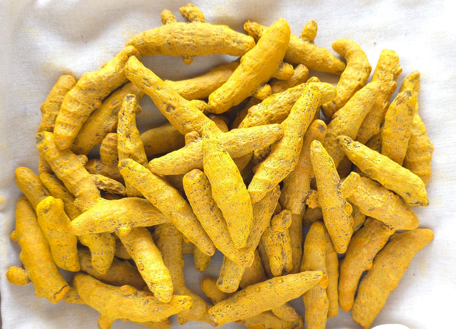 WhatsApp Image 2026-04-03 at 5.04.46 PM (1)